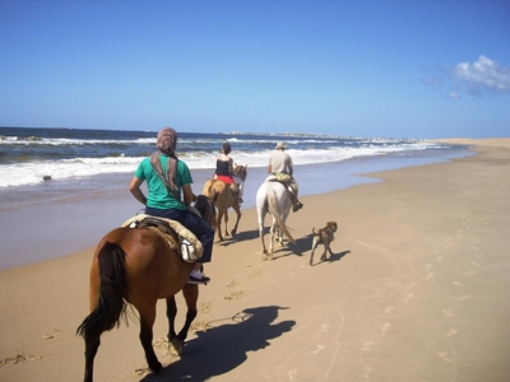 Las cabalgatas en la playa, de las más elegidas